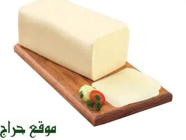 جبنة موتزاريلا بالجملة: أسعار تنافسية للمطاعم...