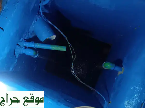 وداعاً للحشرات في القصيم! | أفضل شركة مكافحة بخبرة 20 عاماً | إبادة فورية ومضمونة