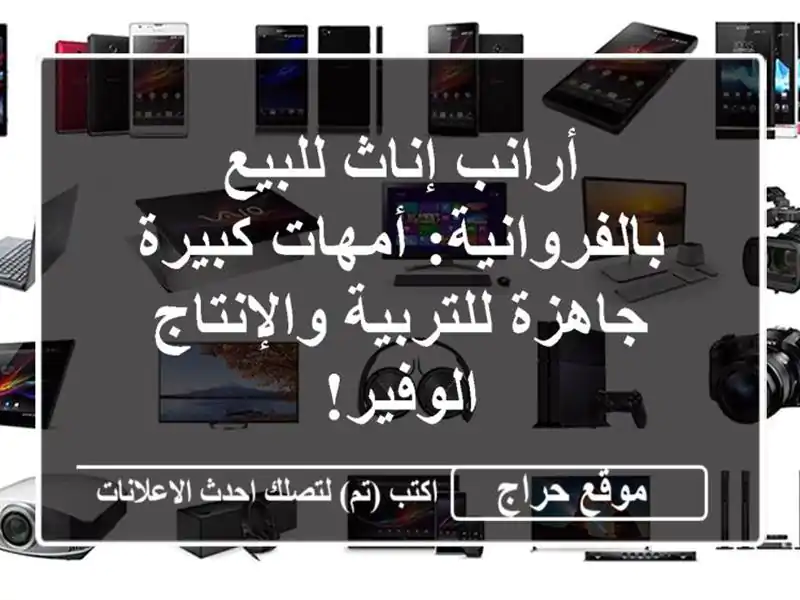 أرانب إناث للبيع بالفروانية: أمهات كبيرة...