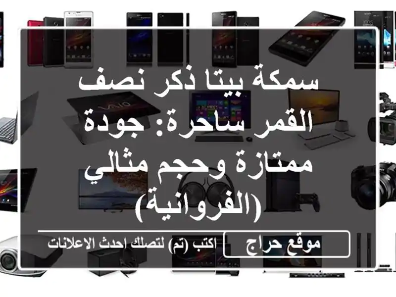 سمكة بيتا ذكر نصف القمر ساحرة: جودة ممتازة وحجم...