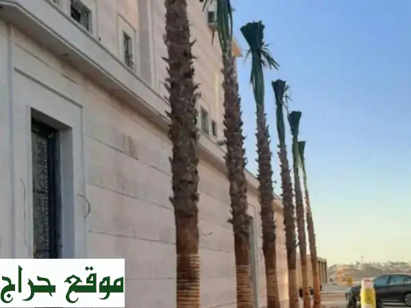 أبو عبدالعزيز: تركيب شبوك، غرس وصيانة نخيل وأشجار...