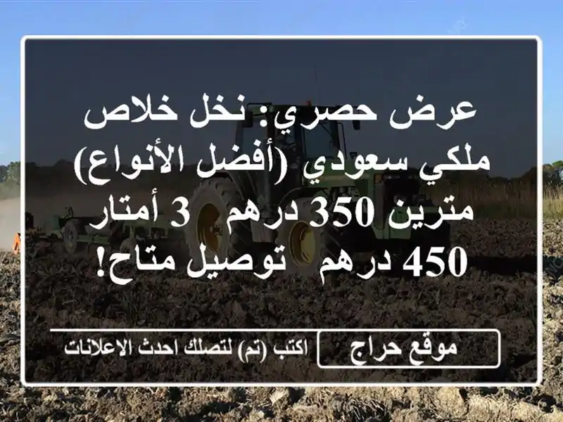 عرض حصري: نخل خلاص ملكي سعودي (أفضل الأنواع) - مترين...