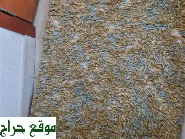 سجادة أنيقة 60x90 سم للبيع | نظيفة، مغسولة وبحالة ممتازة...