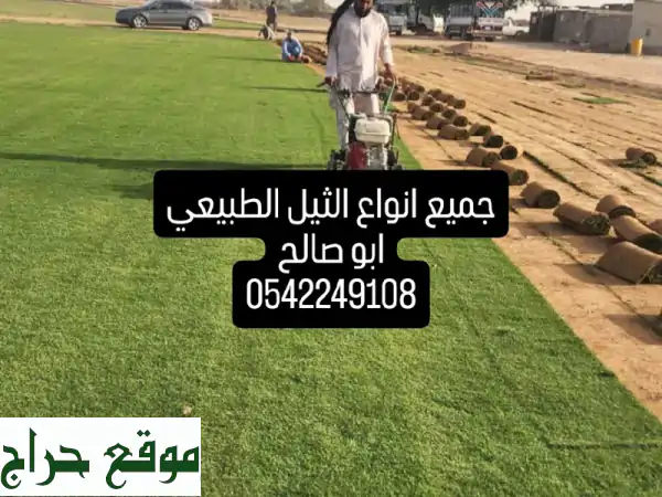 أبو صالح: ثيل طبيعي C2000 فاخر | توريد، تركيب وتنسيق حدائق