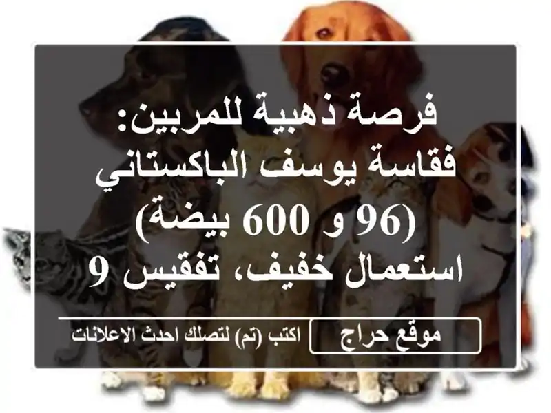 فرصة ذهبية للمربين: فقاسة يوسف الباكستاني (96 و 600 بيضة)...