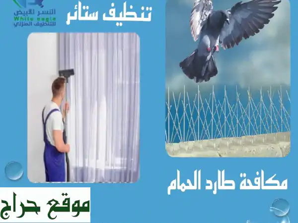 أفضل شركة تنظيف في العين: بيتك نظيف، صحي، ومشرق!