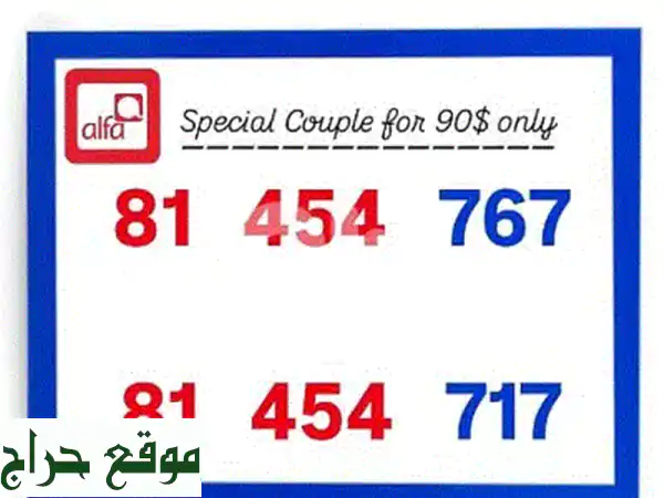 عرض حصري: شحن ألفا المزدوج (2x100) بـ 120$ فقط! توصيل مجاني | Alfa Couple Recharge