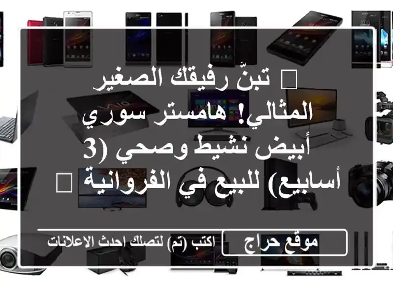 🌟 تبنَّ رفيقك الصغير المثالي! هامستر سوري أبيض...