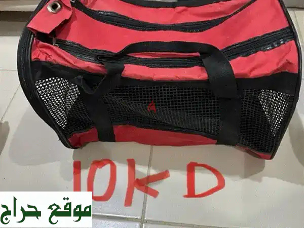 أفضل مستلزمات القطط | أقفاص، أطباق طعام،...