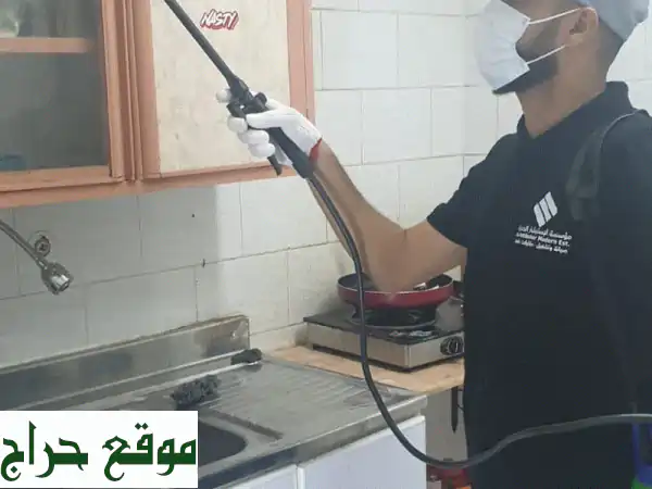 مكافحة حشرات ونمل أبيض بجدة، مكة، الطائف: خبراء رش المبيدات بعقود للمنازل والمنشآت