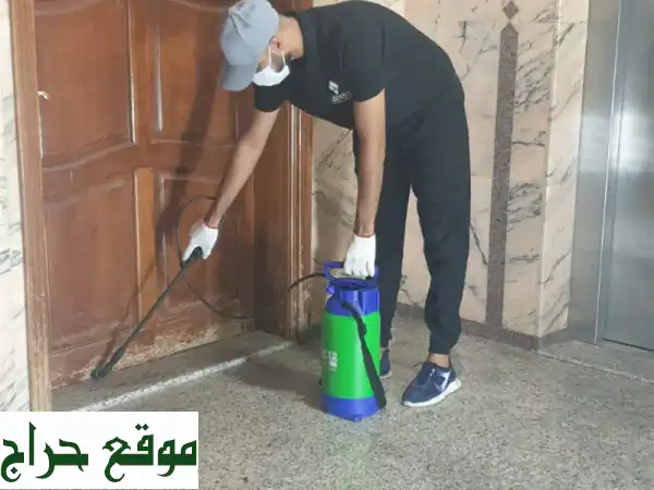 مكافحة حشرات ونمل أبيض بجدة، مكة، الطائف: خبراء...