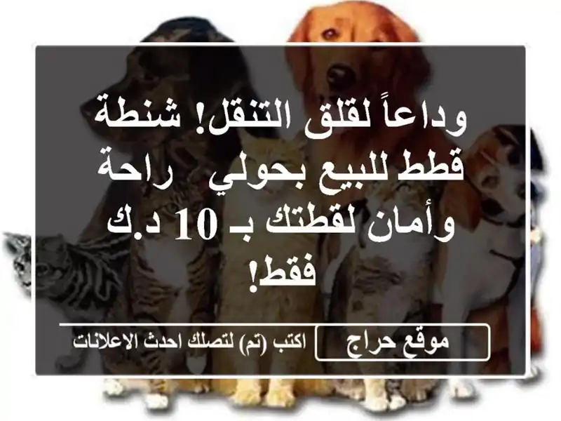 وداعاً لقلق التنقل! شنطة قطط للبيع بحولي - راحة...