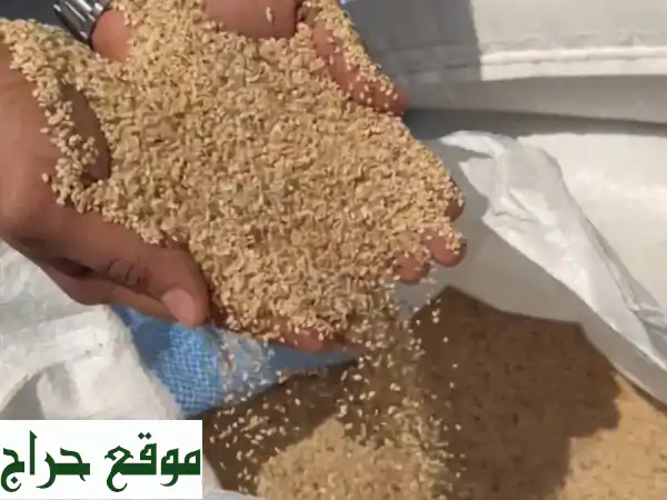 سمسم سوداني فاخر 50 كجم | جودة ذهبية 350 ر.س - مثالي...