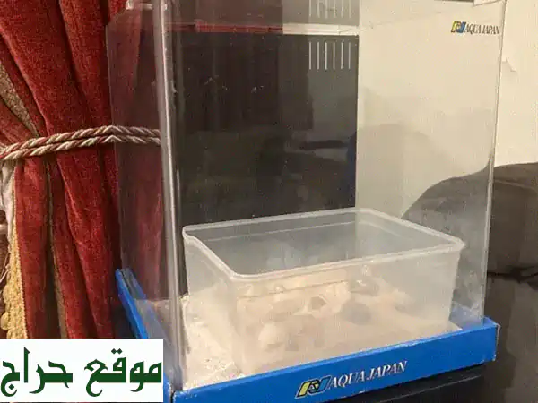 للبيع: حوض سمك فاخر بالستاند والملحقات –...