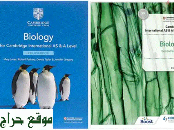 مراجعات إنجليزي بالذكاء الاصطناعي: لضمان درجتك النهائية في الاختبارات القصيرة والنهائية! احجز مقعدك الآن.