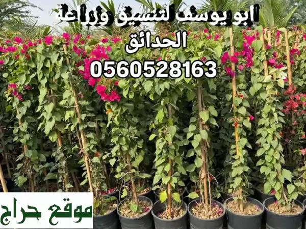 حديقة أحلامك تبدأ هنا: تنسيق، زراعة وصيانة...