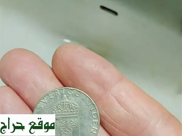 كنز من الزمن: 1 كرونة سويدية 1981 النادرة - تحفة لهواة...