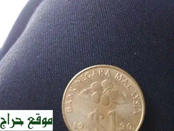 كنز من الزمن: 1 كرونة سويدية 1981 النادرة - تحفة لهواة جمع العملات والانتيكات