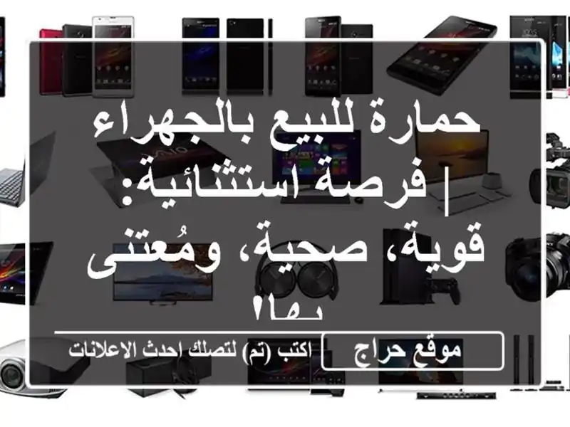 حمارة للبيع بالجهراء | فرصة استثنائية: قوية،...