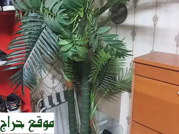 شجرة نخيل صناعي عملاقة فاخرة للبيع في الشارقة - المجاز | حالة ممتازة