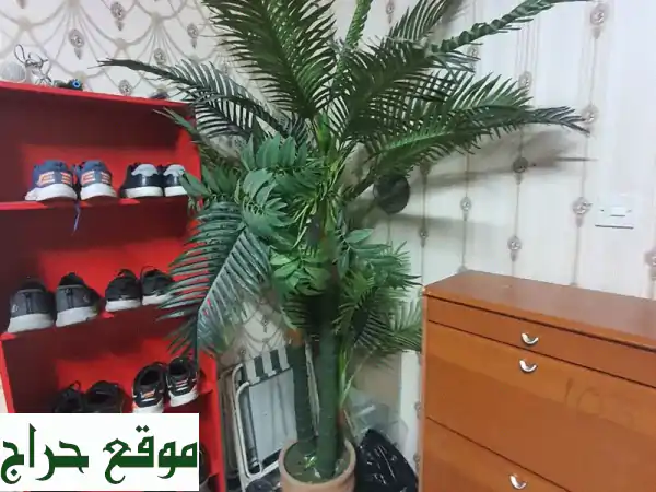 شجرة نخيل صناعي عملاقة فاخرة للبيع في الشارقة -...