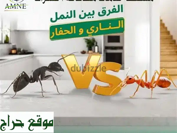 وداعاً للحشرات نهائياً! | مكافحة حشرات مسقط: بيتك آمن ونظيف بضمان 🛡️