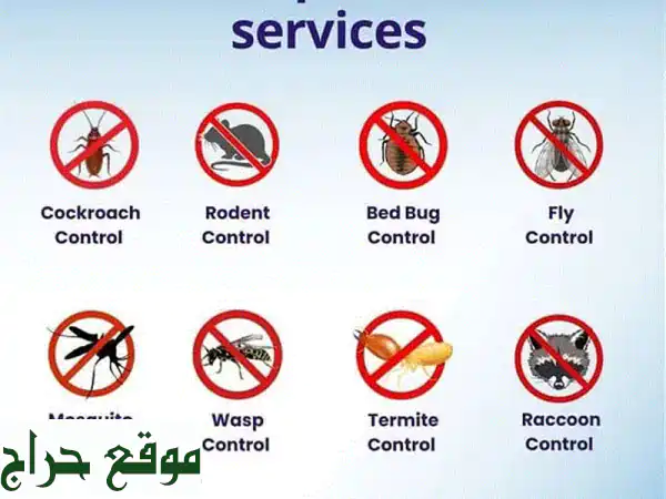 وداعاً للحشرات نهائياً! | مكافحة حشرات مسقط: بيتك...