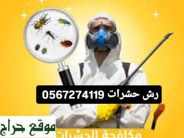 شركة مكافحة حشرات بالمدينة المنورة 0567274119 | حلول نهائية وآمنة