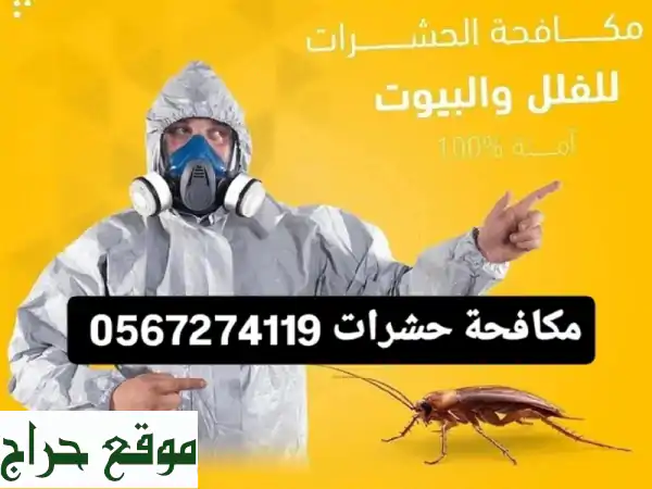 شركة مكافحة حشرات بالمدينة المنورة 0567274119 | حلول...