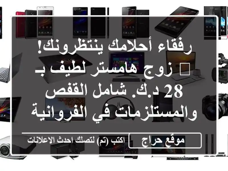 رفقاء أحلامك ينتظرونك! 🐹 زوج هامستر لطيف بـ 28 د.ك....