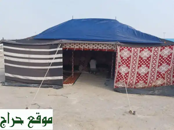 أبو يحيى: تركيب المخيمات ونقل الأغراض – استمتع...