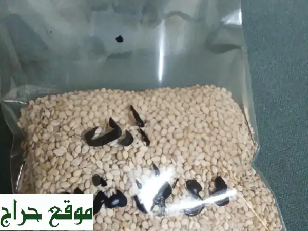 متوفر الآن  سمسم أبيض تنزاني درجة أولى الكمية 8 حاويات الجودة درجة أولى  نظافة ونقاء عالىين خال ...