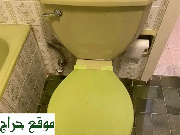 حمام أخضر فاخر: تجربة استثنائية في منزلك!