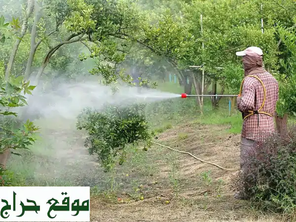 مكافحة حشرات بالرياض: تخلص من الحشرات نهائيًا مع ضمان رضاك!