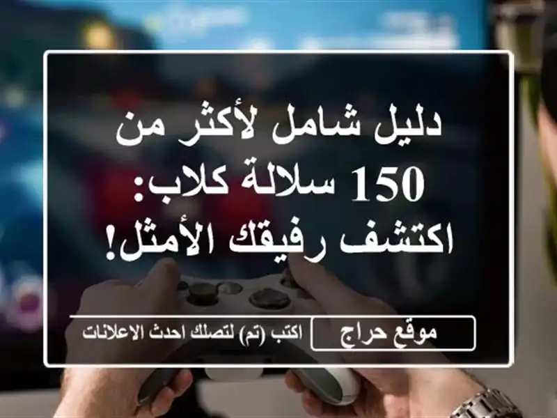 دليل شامل لأكثر من 150 سلالة كلاب: اكتشف رفيقك الأمثل!