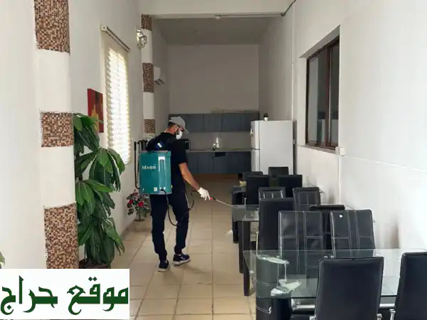 مكافحة حشرات مكة وجدة: تخلص من الحشرات نهائياً بأسعار لا تُصدق!