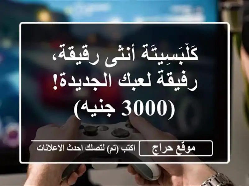 كَلْبَسِيتَة أنثى رقيقة، رفيقة لعبك الجديدة! (3000 جنيه)