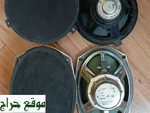 مكبرات صوت استثنائية - صوت قوي وواضح من المكسيك!