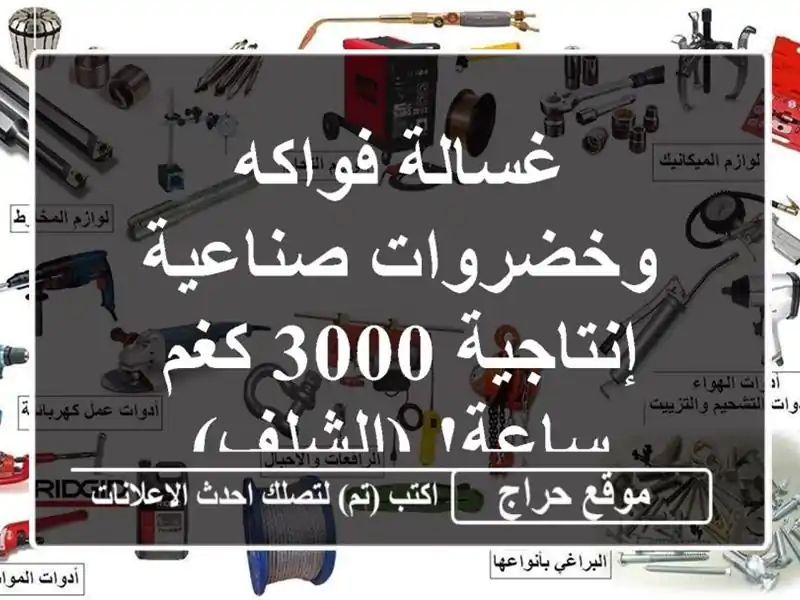 غسالة فواكه وخضروات صناعية - إنتاجية 3000 كغم/ساعة!...