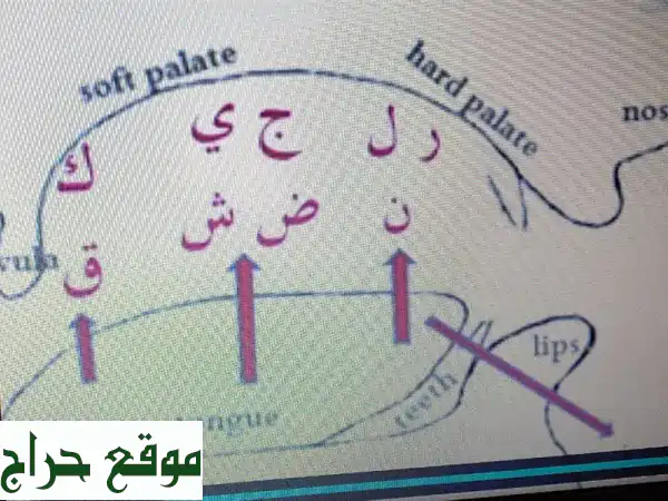 تحدث العربية بطلاقة! دورة عربية شاملة معتمدة مع شهادة