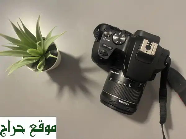 كاميرا Canon EOS 250D شبه جديدة - جودة عالية بسعر مميز!