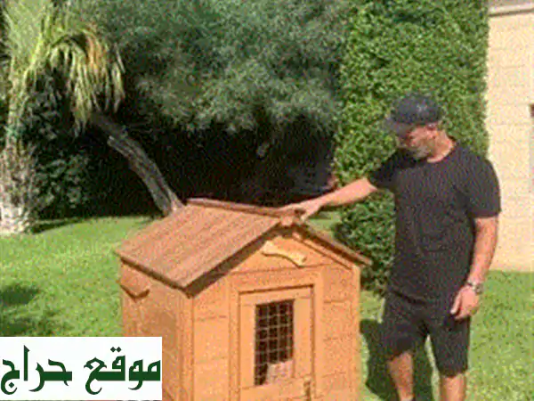 بيوت كلاب خشبية أفريقية صلبة - مصممة حسب طلبك!