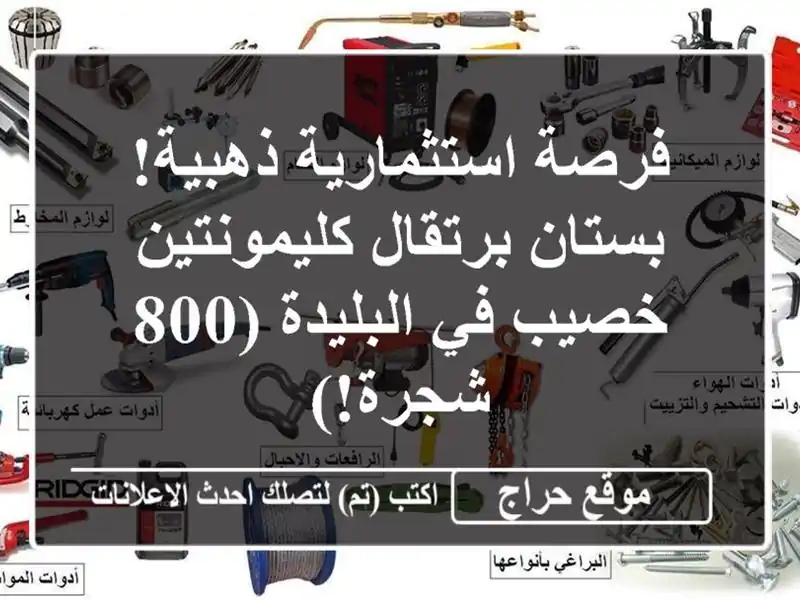 فرصة استثمارية ذهبية! بستان برتقال كليمونتين خصيب...