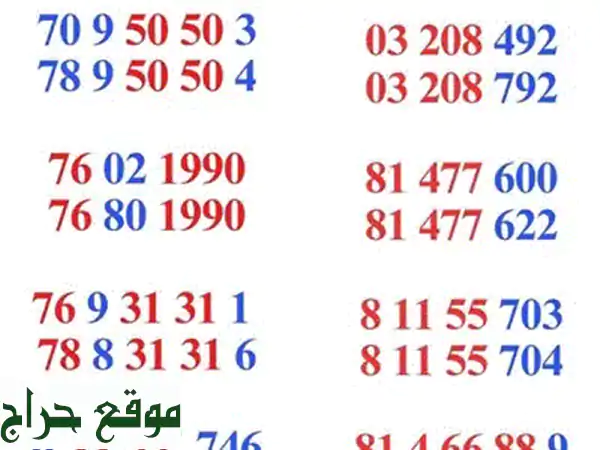 أرقام مميزة MTC بـ 180$ فقط! 📱  (تابلت، هواتف، وأكثر!)