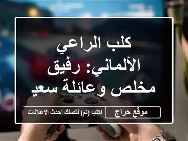 كلب الراعي الألماني: رفيق مخلص وعائلة سعيدة!