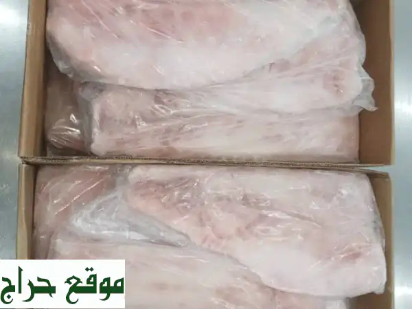 سمك نيلي مجمد - جودة عالية بسعر الجملة! 1.3 طن متوفرة الآن