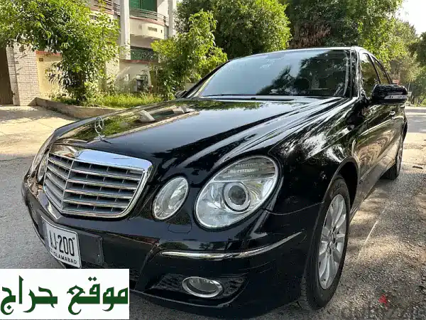 قطط رقيقة تبحث عن بيت دافئ ❤️  -  للتبني أو الشراء
