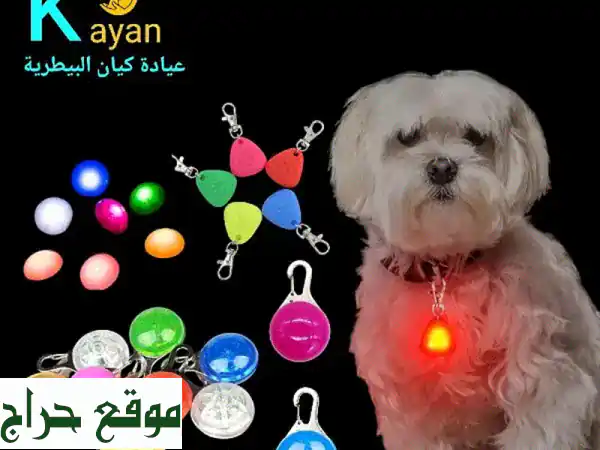 خدمات متكاملة في مسقط: من علاج منزلي إلى رعاية حيواناتك الأليفة!