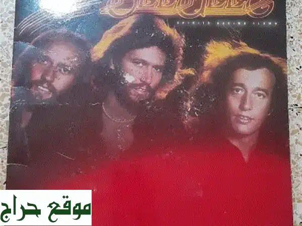 فرصة ذهبية! ألبوم Bee Gees الفينيل - حالة ممتازة - سعر لا يُفوّت!