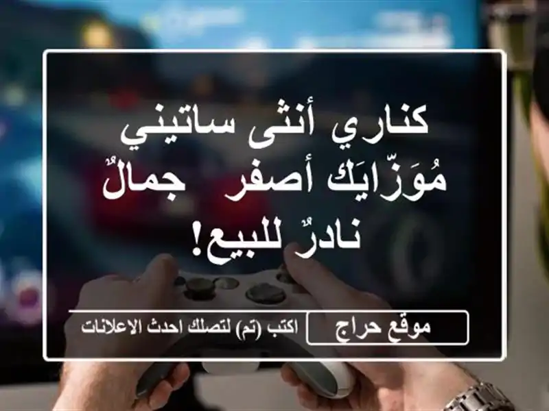كناري أنثى ساتيني مُوَزّايَك أصفر - جمالٌ نادرٌ للبيع!